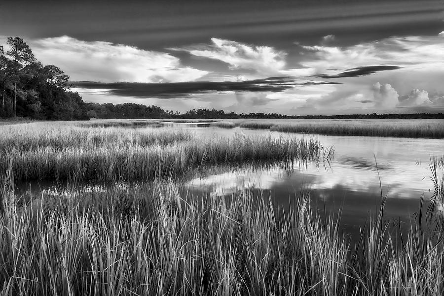 Sawpit Creek 
090918-209BW : Black and White : Will Dickey Florida Fine Art Nature and Wildlife Photography - Images of Florida's First Coast - Nature and Landscape Photographs of Jacksonville, St. Augustine, Florida nature preserves