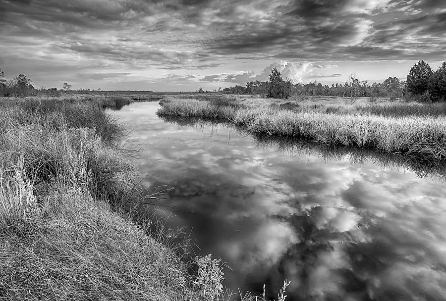 Thomas Creek 
091312-37BW : Black and White : Will Dickey Florida Fine Art Nature and Wildlife Photography - Images of Florida's First Coast - Nature and Landscape Photographs of Jacksonville, St. Augustine, Florida nature preserves
