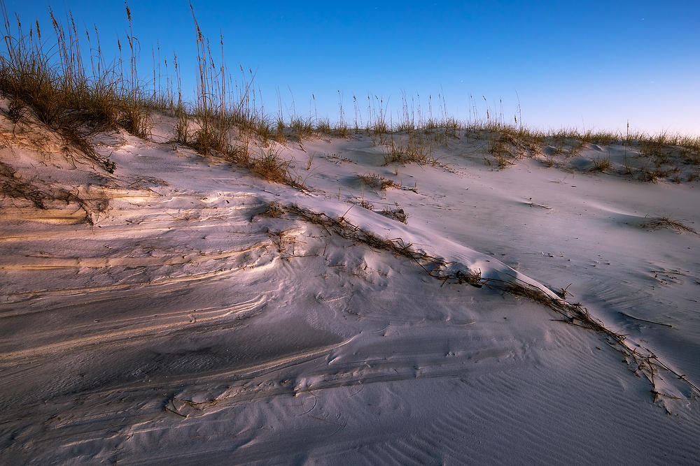 Destin Dune 
122820-255 : Beaches : Will Dickey Florida Fine Art Nature and Wildlife Photography - Images of Florida's First Coast - Nature and Landscape Photographs of Jacksonville, St. Augustine, Florida nature preserves