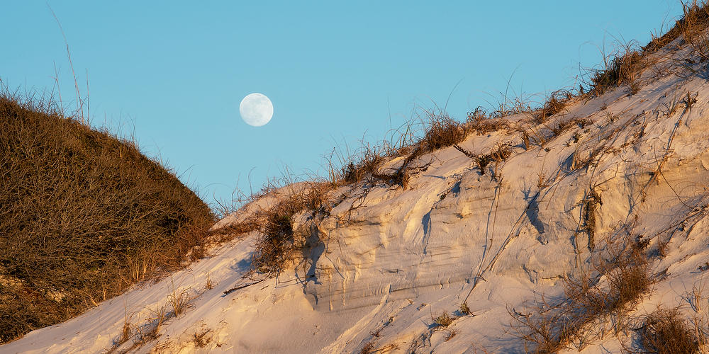 Destin Dune Moonrise 122820-118P  : Beaches : Will Dickey Florida Fine Art Nature and Wildlife Photography - Images of Florida's First Coast - Nature and Landscape Photographs of Jacksonville, St. Augustine, Florida nature preserves