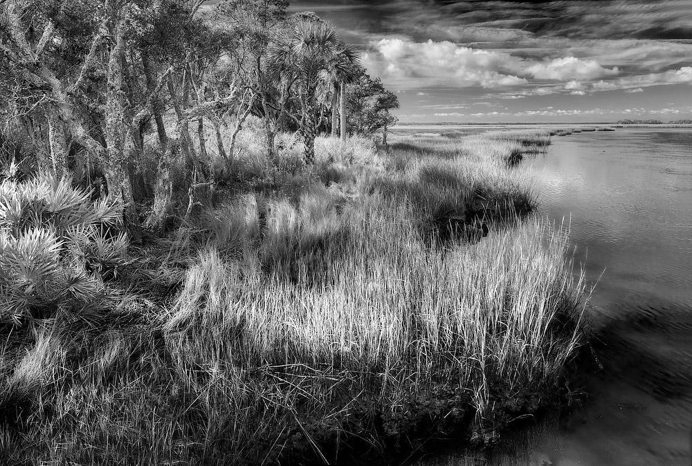Tiger Point 
121320-101BW : Black and White : Will Dickey Florida Fine Art Nature and Wildlife Photography - Images of Florida's First Coast - Nature and Landscape Photographs of Jacksonville, St. Augustine, Florida nature preserves