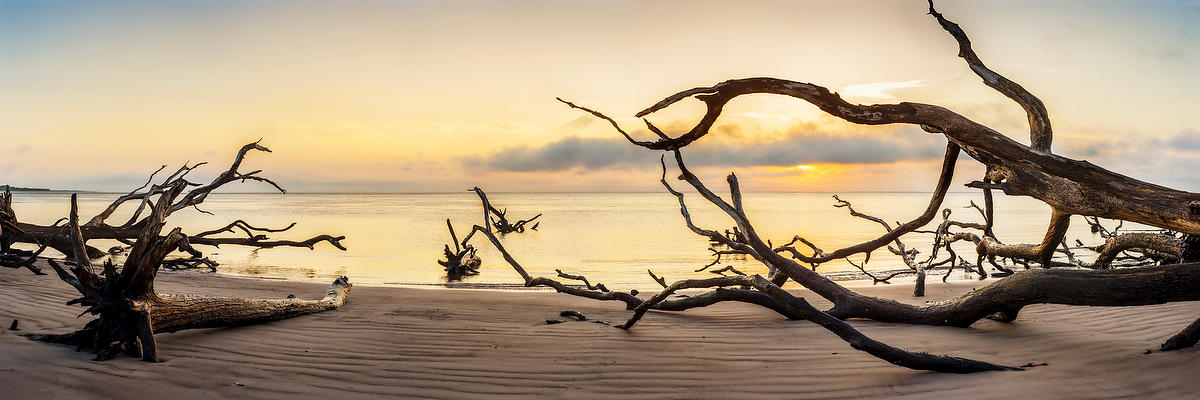 Big Talbot Sunrise 061717-46P : Panoramas and Cityscapes : Will Dickey Florida Fine Art Nature and Wildlife Photography - Images of Florida's First Coast - Nature and Landscape Photographs of Jacksonville, St. Augustine, Florida nature preserves