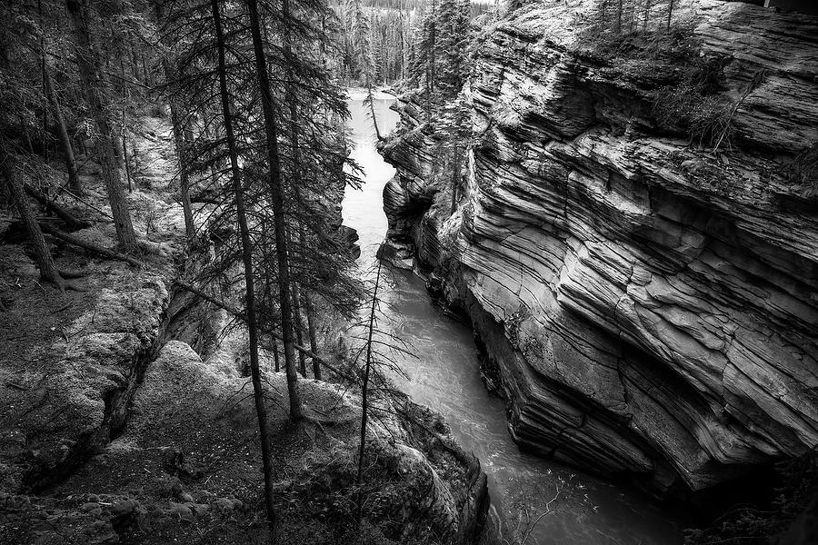 Athabasca Gorge Canada
100319-156BW : Black and White : Will Dickey Florida Fine Art Nature and Wildlife Photography - Images of Florida's First Coast - Nature and Landscape Photographs of Jacksonville, St. Augustine, Florida nature preserves