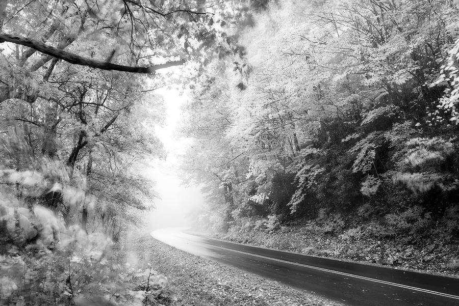 Blue Ridge Fog 
102718-168BW : Black and White : Will Dickey Florida Fine Art Nature and Wildlife Photography - Images of Florida's First Coast - Nature and Landscape Photographs of Jacksonville, St. Augustine, Florida nature preserves