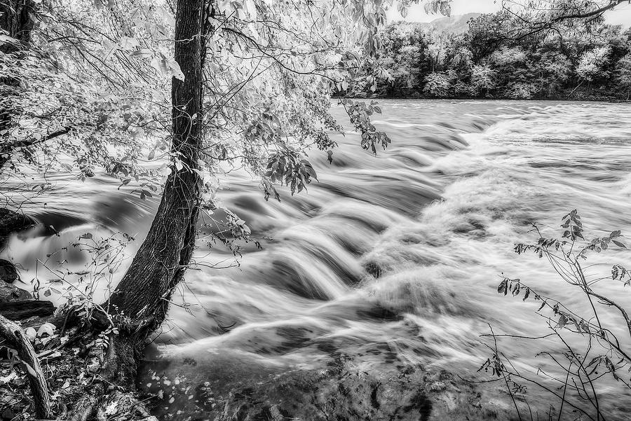 French Broad Raging 102718-39BW : Black and White : Will Dickey Florida Fine Art Nature and Wildlife Photography - Images of Florida's First Coast - Nature and Landscape Photographs of Jacksonville, St. Augustine, Florida nature preserves