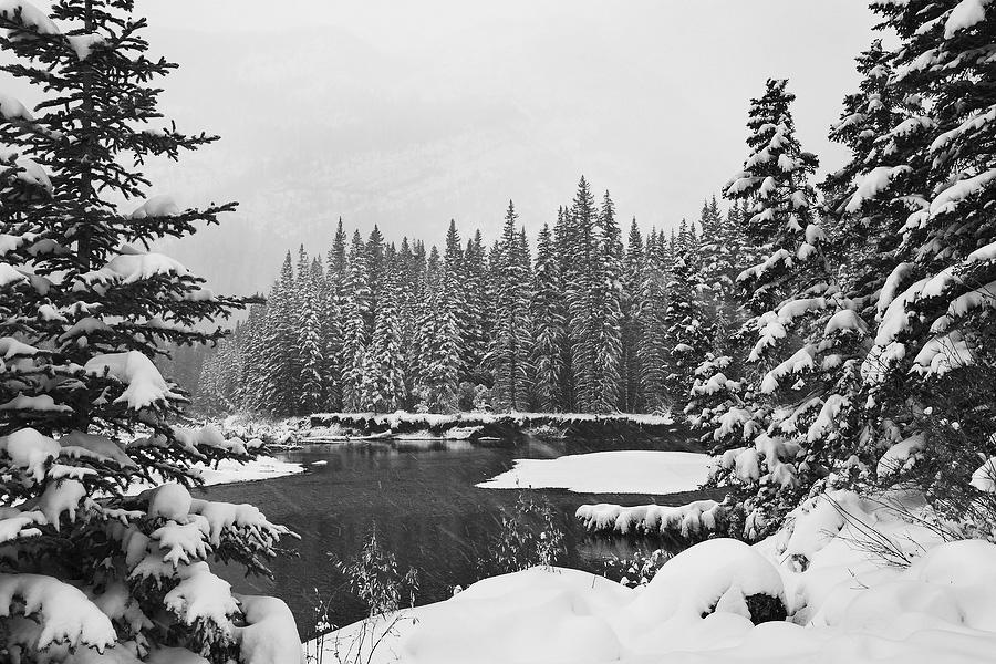 Kananaskis Canada Snow Storm
092919-174BW : Black and White : Will Dickey Florida Fine Art Nature and Wildlife Photography - Images of Florida's First Coast - Nature and Landscape Photographs of Jacksonville, St. Augustine, Florida nature preserves