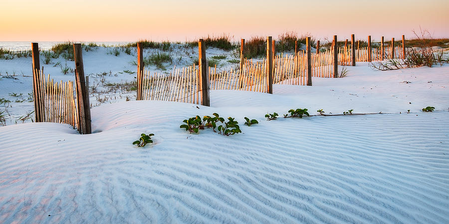 Anastasia Dune 
050921-23P : Beaches : Will Dickey Florida Fine Art Nature and Wildlife Photography - Images of Florida's First Coast - Nature and Landscape Photographs of Jacksonville, St. Augustine, Florida nature preserves