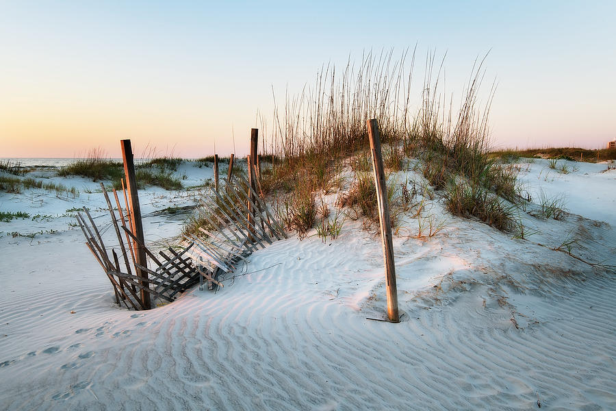 Anastasia Dune Fence 050921-19 : Beaches : Will Dickey Florida Fine Art Nature and Wildlife Photography - Images of Florida's First Coast - Nature and Landscape Photographs of Jacksonville, St. Augustine, Florida nature preserves