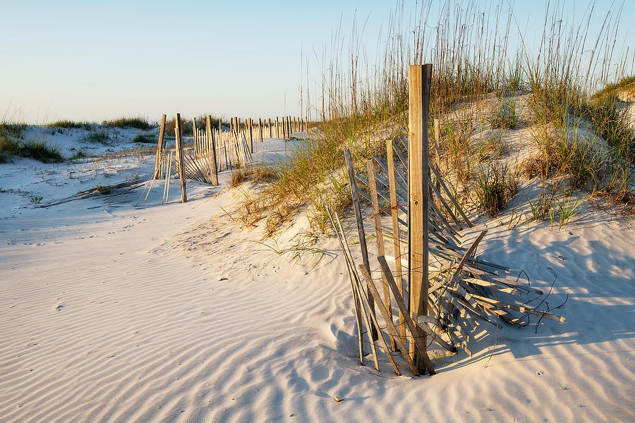 Anastasia Dune Fence 050921-58  : Beaches : Will Dickey Florida Fine Art Nature and Wildlife Photography - Images of Florida's First Coast - Nature and Landscape Photographs of Jacksonville, St. Augustine, Florida nature preserves