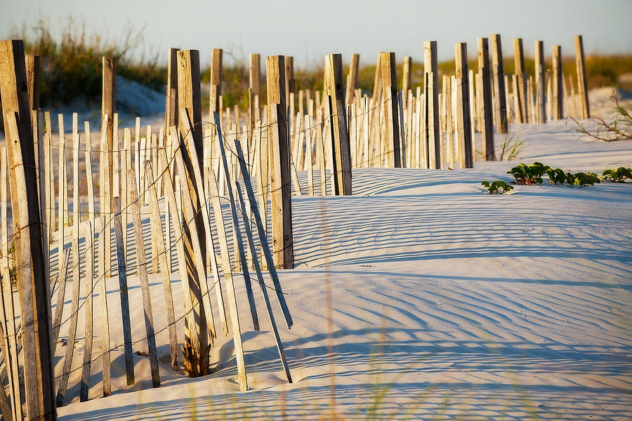 Anastasia Dune Fence 050921-72 : Beaches : Will Dickey Florida Fine Art Nature and Wildlife Photography - Images of Florida's First Coast - Nature and Landscape Photographs of Jacksonville, St. Augustine, Florida nature preserves