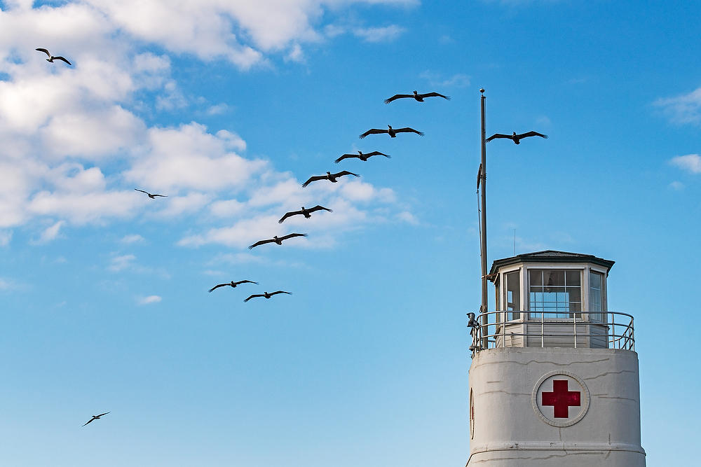 Pelicans over Lifeguard Station 051621-53 : Beaches : Will Dickey Florida Fine Art Nature and Wildlife Photography - Images of Florida's First Coast - Nature and Landscape Photographs of Jacksonville, St. Augustine, Florida nature preserves