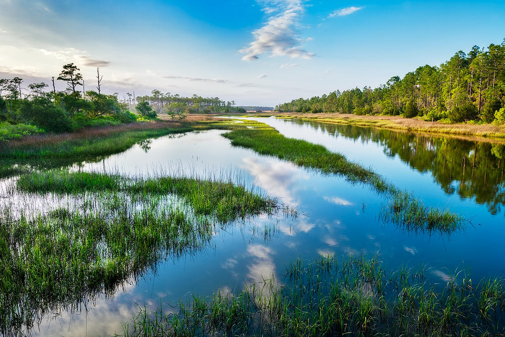 Pumpkin Hill Creek 052121-43 : Timucuan Preserve  : Will Dickey Florida Fine Art Nature and Wildlife Photography - Images of Florida's First Coast - Nature and Landscape Photographs of Jacksonville, St. Augustine, Florida nature preserves