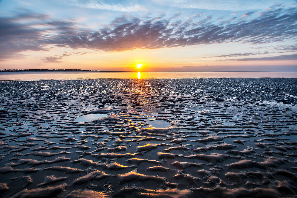 Big Talbot Beach   
052921-67 : Timucuan Preserve  : Will Dickey Florida Fine Art Nature and Wildlife Photography - Images of Florida's First Coast - Nature and Landscape Photographs of Jacksonville, St. Augustine, Florida nature preserves