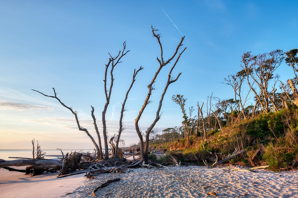 Big Talbot Beach   052921-95 : Timucuan Preserve  : Will Dickey Florida Fine Art Nature and Wildlife Photography - Images of Florida's First Coast - Nature and Landscape Photographs of Jacksonville, St. Augustine, Florida nature preserves