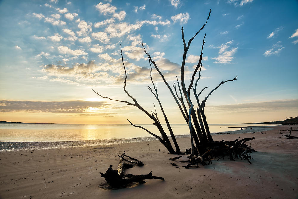 Big Talbot Sunrise
052921-113 : Timucuan Preserve  : Will Dickey Florida Fine Art Nature and Wildlife Photography - Images of Florida's First Coast - Nature and Landscape Photographs of Jacksonville, St. Augustine, Florida nature preserves