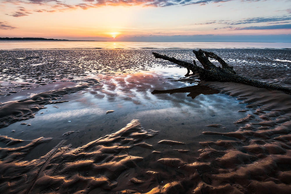 Big Talbot Tide Pool 052921-55 : Timucuan Preserve  : Will Dickey Florida Fine Art Nature and Wildlife Photography - Images of Florida's First Coast - Nature and Landscape Photographs of Jacksonville, St. Augustine, Florida nature preserves