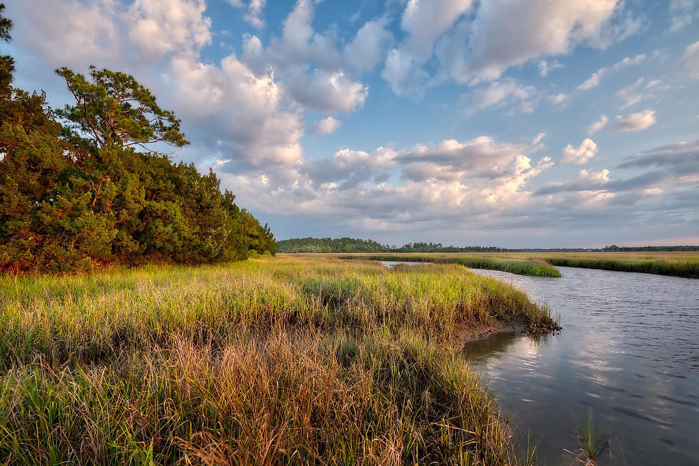 Sawpit Creek 
052821-229 : Timucuan Preserve  : Will Dickey Florida Fine Art Nature and Wildlife Photography - Images of Florida's First Coast - Nature and Landscape Photographs of Jacksonville, St. Augustine, Florida nature preserves