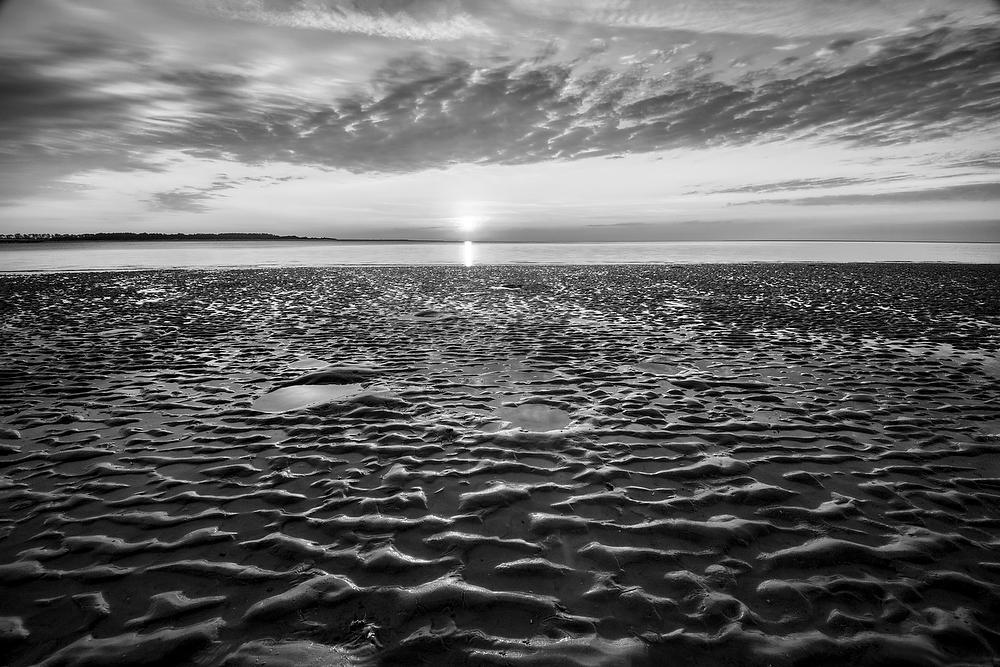Big Talbot Beach 
052921-67BW : Black and White : Will Dickey Florida Fine Art Nature and Wildlife Photography - Images of Florida's First Coast - Nature and Landscape Photographs of Jacksonville, St. Augustine, Florida nature preserves