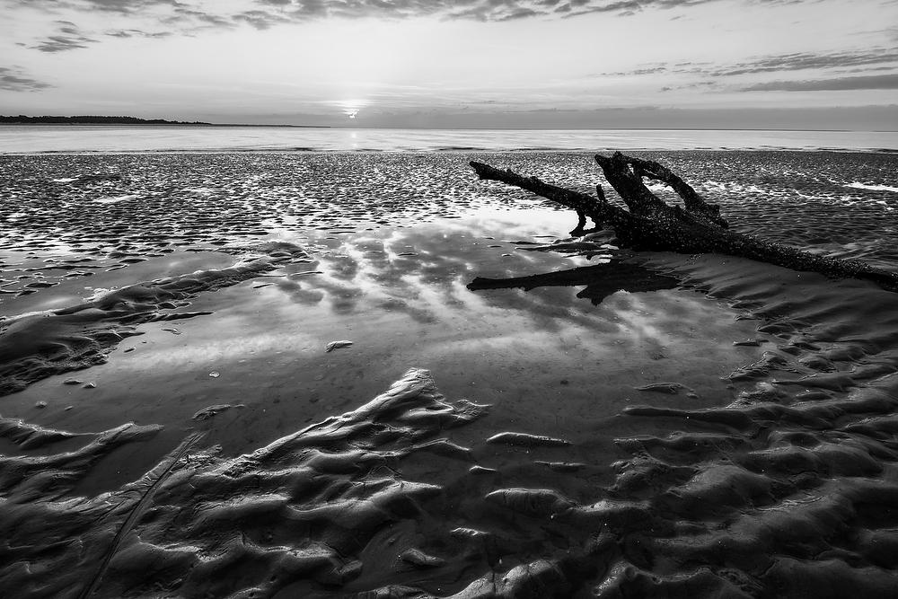 Big Talbot Tide Pool 052921-55BW : Black and White : Will Dickey Florida Fine Art Nature and Wildlife Photography - Images of Florida's First Coast - Nature and Landscape Photographs of Jacksonville, St. Augustine, Florida nature preserves