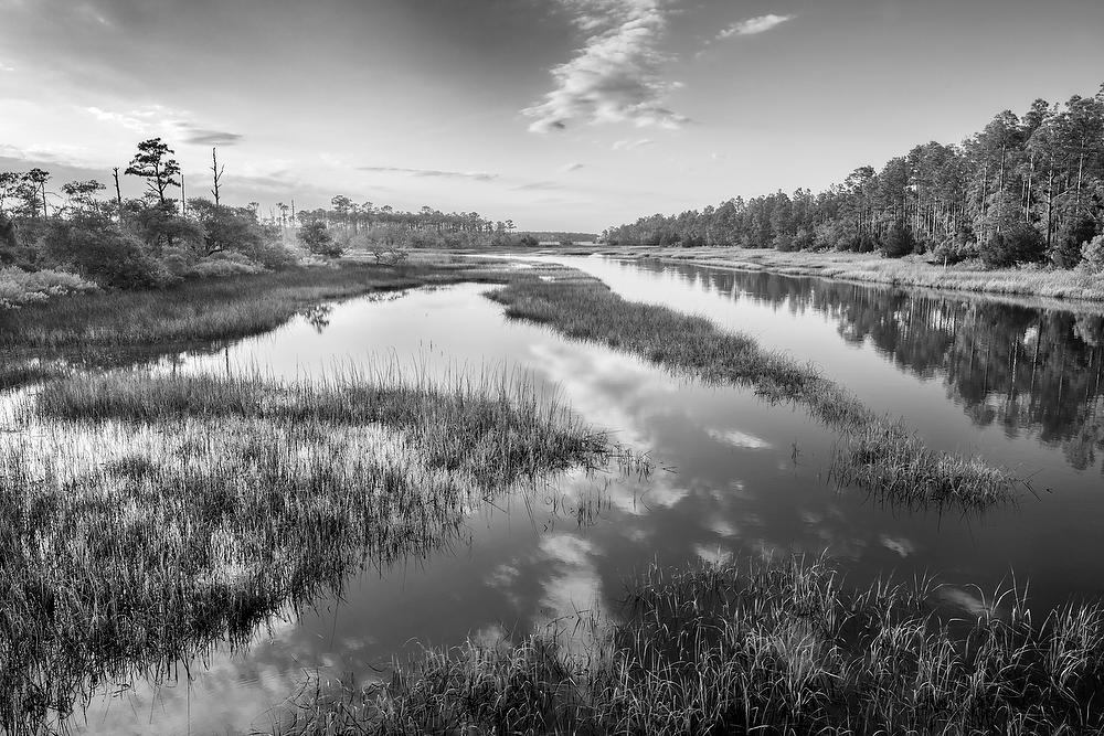 Pumpkin Hill Creek 052121-43BW : Black and White : Will Dickey Florida Fine Art Nature and Wildlife Photography - Images of Florida's First Coast - Nature and Landscape Photographs of Jacksonville, St. Augustine, Florida nature preserves