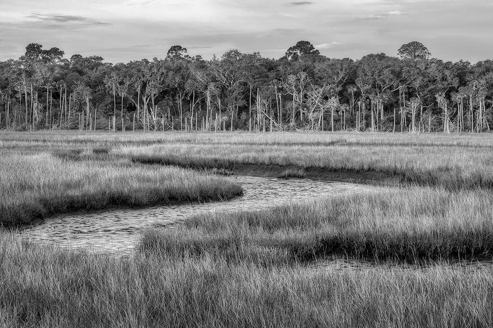 Round Marsh Low Tide 053021-31BW : Black and White : Will Dickey Florida Fine Art Nature and Wildlife Photography - Images of Florida's First Coast - Nature and Landscape Photographs of Jacksonville, St. Augustine, Florida nature preserves