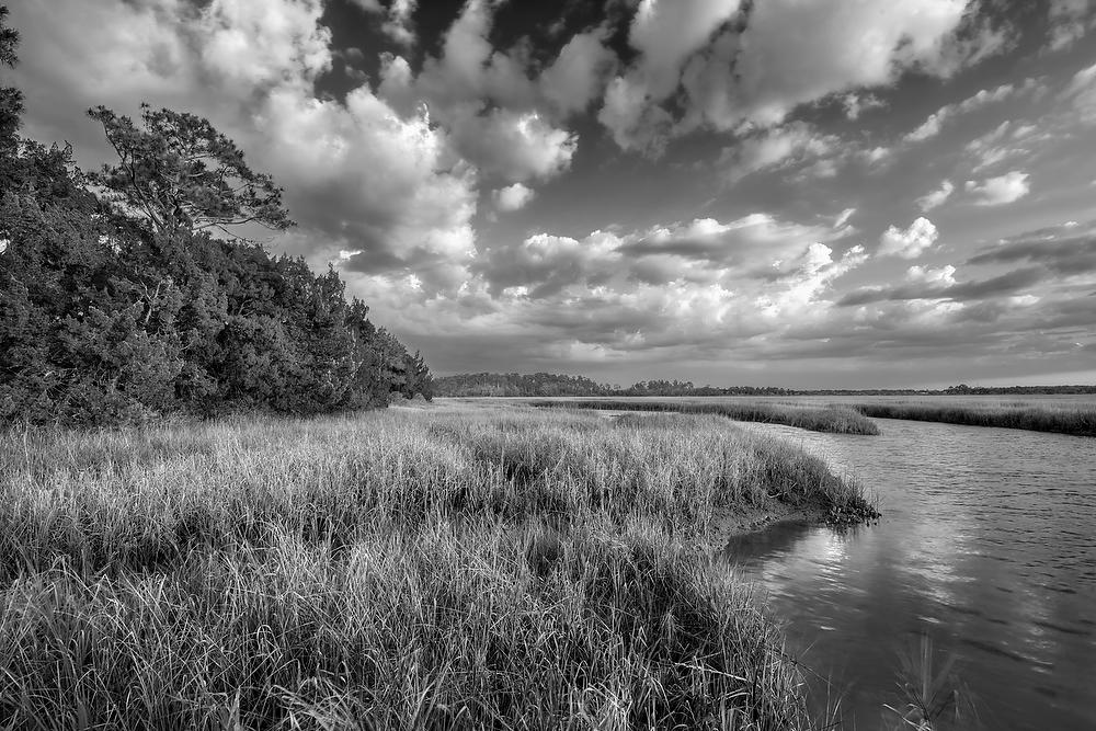 Sawpit Creek 
052821-229BW : Black and White : Will Dickey Florida Fine Art Nature and Wildlife Photography - Images of Florida's First Coast - Nature and Landscape Photographs of Jacksonville, St. Augustine, Florida nature preserves