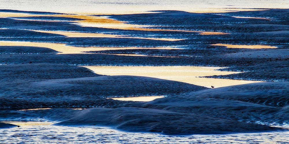 Ft.George Inlet 
101021-197 : Timucuan Preserve  : Will Dickey Florida Fine Art Nature and Wildlife Photography - Images of Florida's First Coast - Nature and Landscape Photographs of Jacksonville, St. Augustine, Florida nature preserves