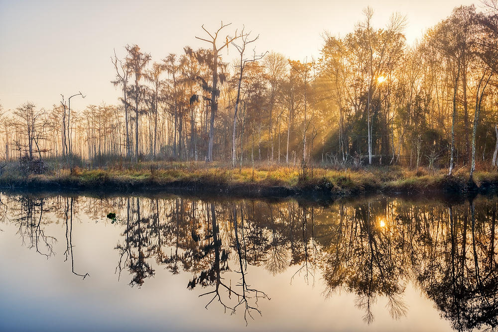 Goodbys Creek Fog
120621-10 : Waterways and Woods  : Will Dickey Florida Fine Art Nature and Wildlife Photography - Images of Florida's First Coast - Nature and Landscape Photographs of Jacksonville, St. Augustine, Florida nature preserves