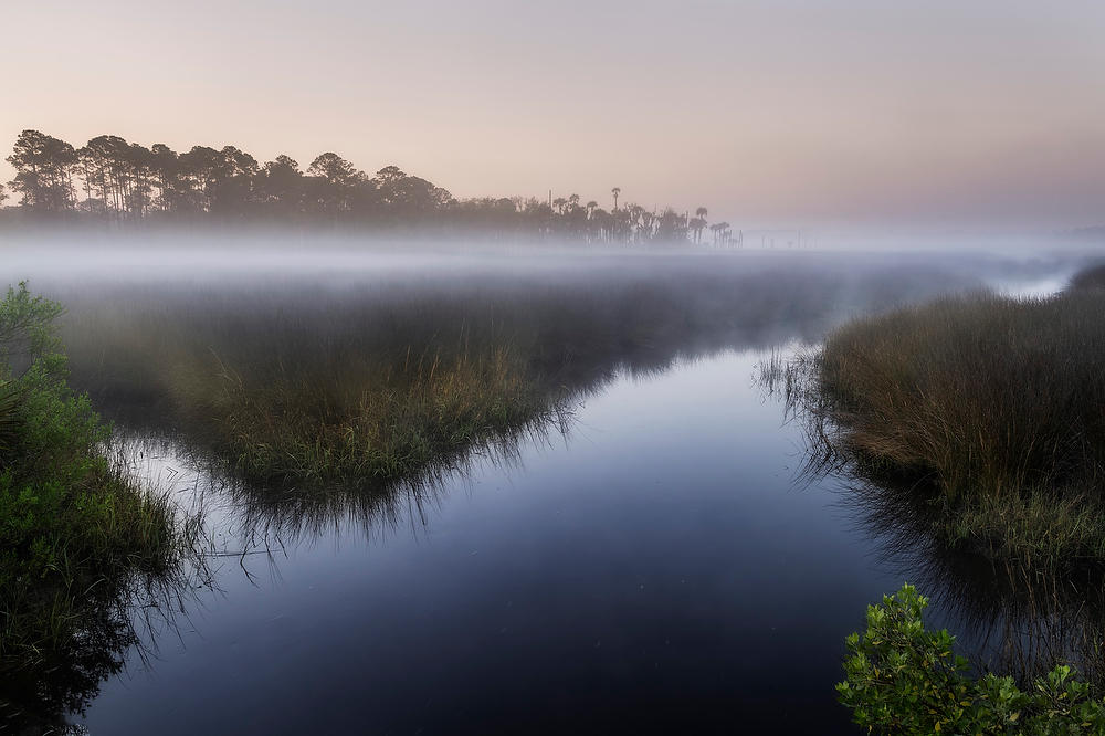 Pumpkin Hill Creek Fog 032922-20 : Timucuan Preserve  : Will Dickey Florida Fine Art Nature and Wildlife Photography - Images of Florida's First Coast - Nature and Landscape Photographs of Jacksonville, St. Augustine, Florida nature preserves
