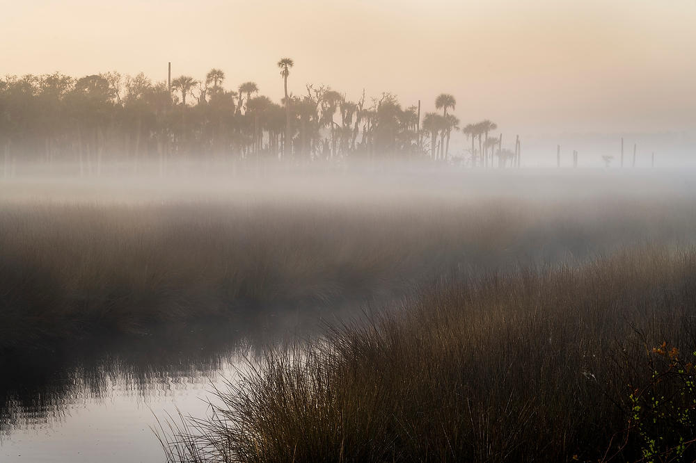 Pumpkin Hill Creek Fog 032922-41 : Timucuan Preserve  : Will Dickey Florida Fine Art Nature and Wildlife Photography - Images of Florida's First Coast - Nature and Landscape Photographs of Jacksonville, St. Augustine, Florida nature preserves