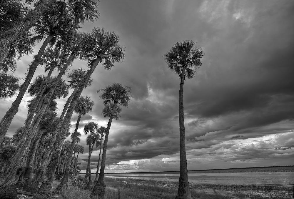 Lake Harney Storm 083011-517BW : Black and White : Will Dickey Florida Fine Art Nature and Wildlife Photography - Images of Florida's First Coast - Nature and Landscape Photographs of Jacksonville, St. Augustine, Florida nature preserves