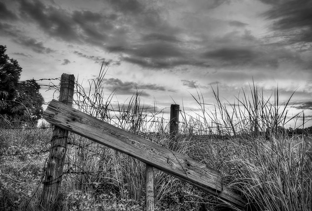 Lemon Bluff Fence 083011-607BW : Black and White : Will Dickey Florida Fine Art Nature and Wildlife Photography - Images of Florida's First Coast - Nature and Landscape Photographs of Jacksonville, St. Augustine, Florida nature preserves