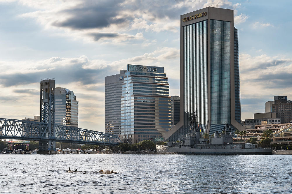 Jacksonville Dolphins
052822-40 : Panoramas and Cityscapes : Will Dickey Florida Fine Art Nature and Wildlife Photography - Images of Florida's First Coast - Nature and Landscape Photographs of Jacksonville, St. Augustine, Florida nature preserves