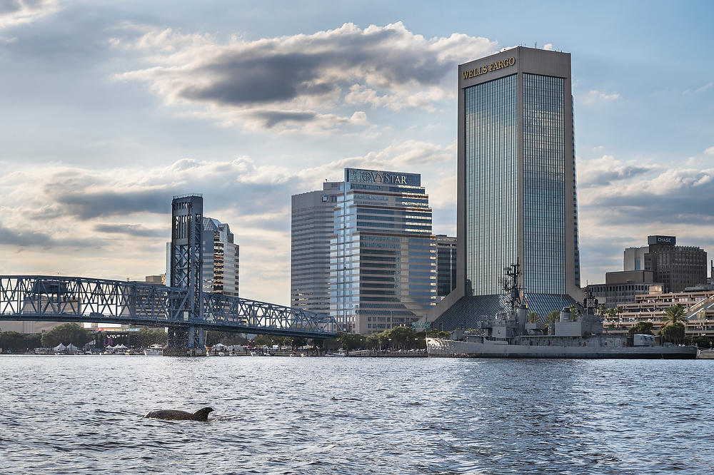 Jacksonville Dolphins
052822-59 : Panoramas and Cityscapes : Will Dickey Florida Fine Art Nature and Wildlife Photography - Images of Florida's First Coast - Nature and Landscape Photographs of Jacksonville, St. Augustine, Florida nature preserves