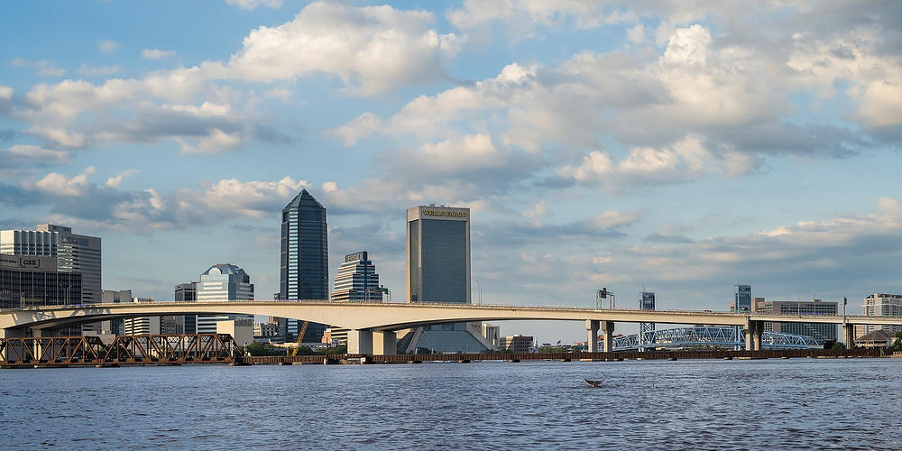 Jacksonville Dolphins
052822-317P : Panoramas and Cityscapes : Will Dickey Florida Fine Art Nature and Wildlife Photography - Images of Florida's First Coast - Nature and Landscape Photographs of Jacksonville, St. Augustine, Florida nature preserves