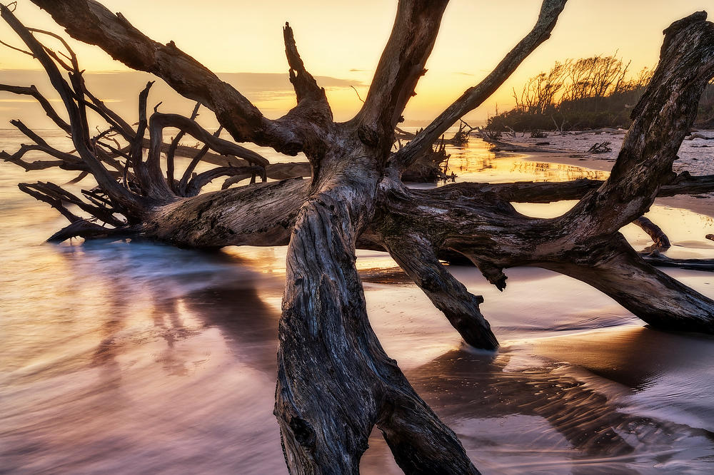 Big Talbot Sunrise 
120922-22 : Timucuan Preserve  : Will Dickey Florida Fine Art Nature and Wildlife Photography - Images of Florida's First Coast - Nature and Landscape Photographs of Jacksonville, St. Augustine, Florida nature preserves