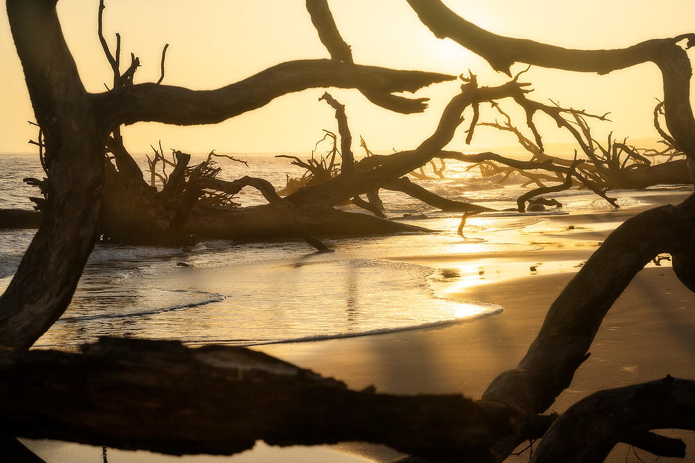 Big Talbot Misty Sunrise 120622-85 : Timucuan Preserve  : Will Dickey Florida Fine Art Nature and Wildlife Photography - Images of Florida's First Coast - Nature and Landscape Photographs of Jacksonville, St. Augustine, Florida nature preserves