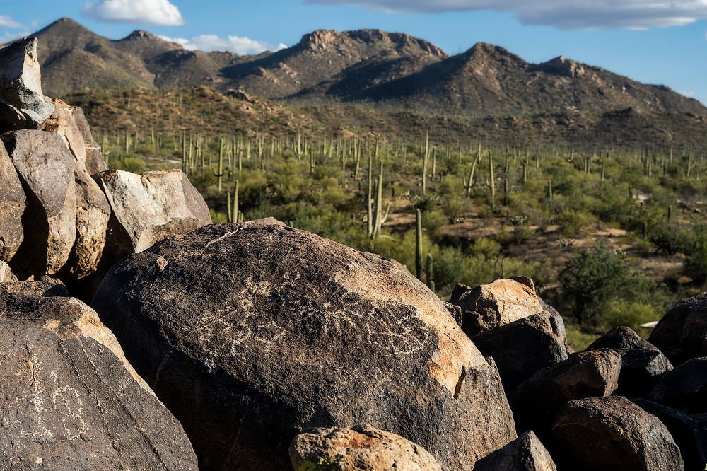 Saguaro West Petroglyphs
021823-680  : Arizona : Will Dickey Florida Fine Art Nature and Wildlife Photography - Images of Florida's First Coast - Nature and Landscape Photographs of Jacksonville, St. Augustine, Florida nature preserves