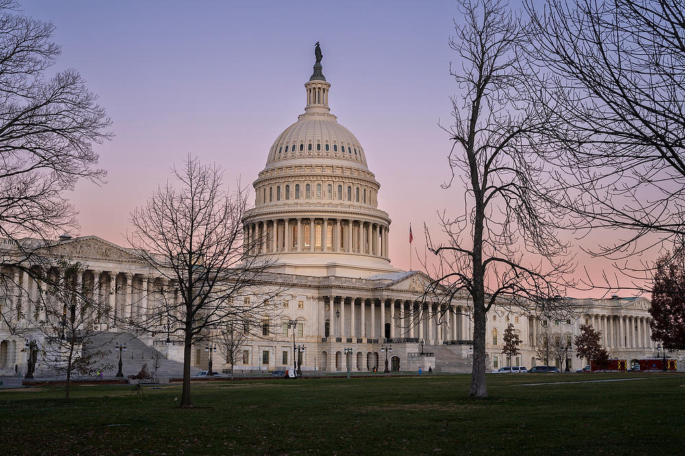 Capitol Dawn
121523-19 : Washington D.C. : Will Dickey Florida Fine Art Nature and Wildlife Photography - Images of Florida's First Coast - Nature and Landscape Photographs of Jacksonville, St. Augustine, Florida nature preserves
