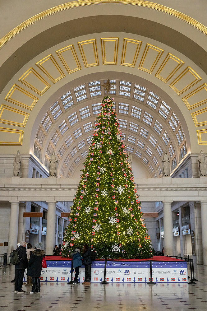 Union Station Christmas Tree 121523-147 : Washington D.C. : Will Dickey Florida Fine Art Nature and Wildlife Photography - Images of Florida's First Coast - Nature and Landscape Photographs of Jacksonville, St. Augustine, Florida nature preserves