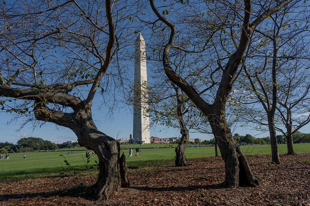 Washington Monument 100723-134 : Washington D.C. : Will Dickey Florida Fine Art Nature and Wildlife Photography - Images of Florida's First Coast - Nature and Landscape Photographs of Jacksonville, St. Augustine, Florida nature preserves