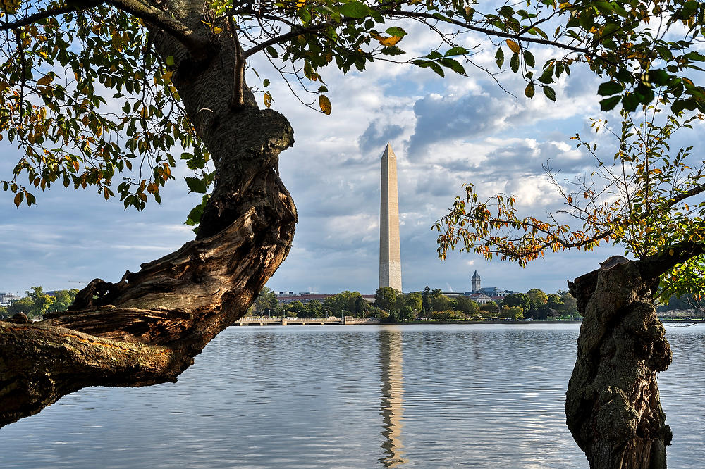 Washington Monument 101023-217 : Washington D.C. : Will Dickey Florida Fine Art Nature and Wildlife Photography - Images of Florida's First Coast - Nature and Landscape Photographs of Jacksonville, St. Augustine, Florida nature preserves