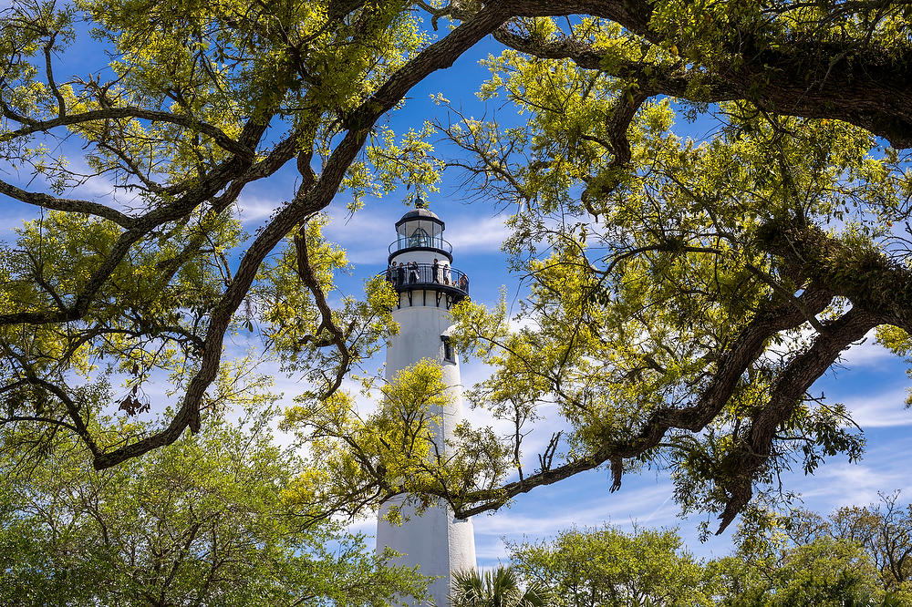 St. Simons Light
040624-19 : Landmarks & Historic Structures : Will Dickey Florida Fine Art Nature and Wildlife Photography - Images of Florida's First Coast - Nature and Landscape Photographs of Jacksonville, St. Augustine, Florida nature preserves