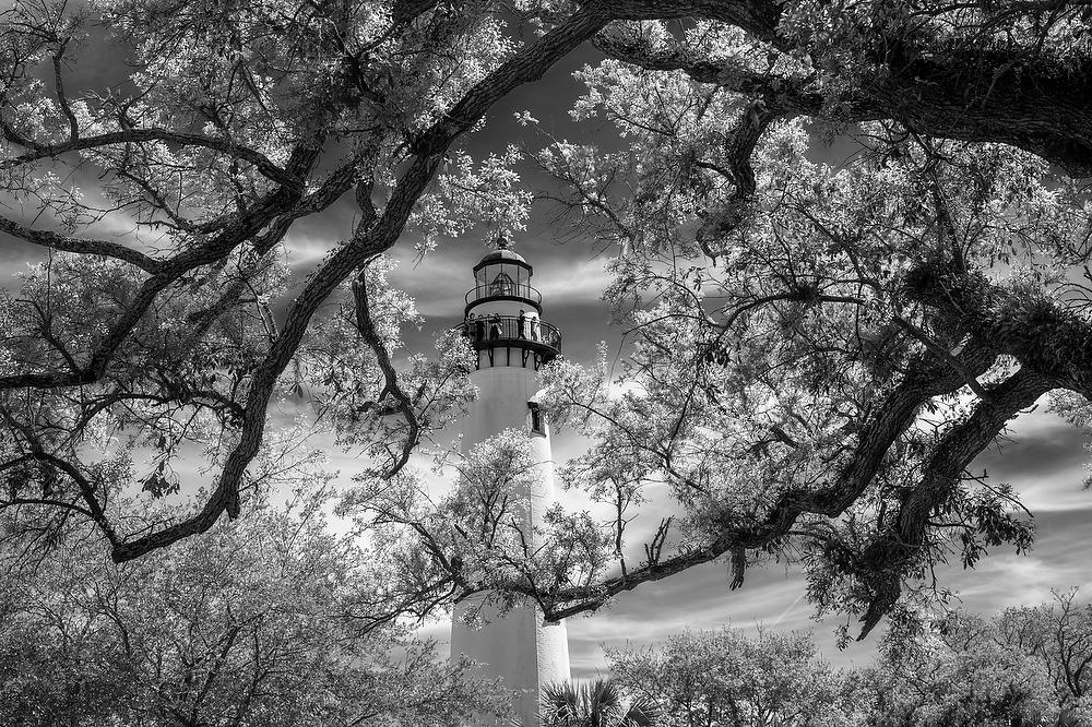St. Simons Light 
040624-675BW : Black and White : Will Dickey Florida Fine Art Nature and Wildlife Photography - Images of Florida's First Coast - Nature and Landscape Photographs of Jacksonville, St. Augustine, Florida nature preserves