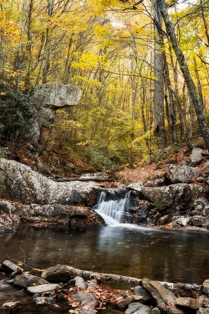 Boone Run 
101824-50 : Shenandoah : Will Dickey Florida Fine Art Nature and Wildlife Photography - Images of Florida's First Coast - Nature and Landscape Photographs of Jacksonville, St. Augustine, Florida nature preserves