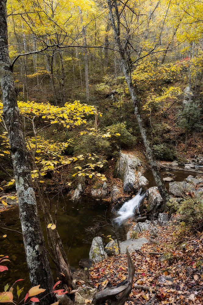 Boone Run 
101824-57 : Shenandoah : Will Dickey Florida Fine Art Nature and Wildlife Photography - Images of Florida's First Coast - Nature and Landscape Photographs of Jacksonville, St. Augustine, Florida nature preserves