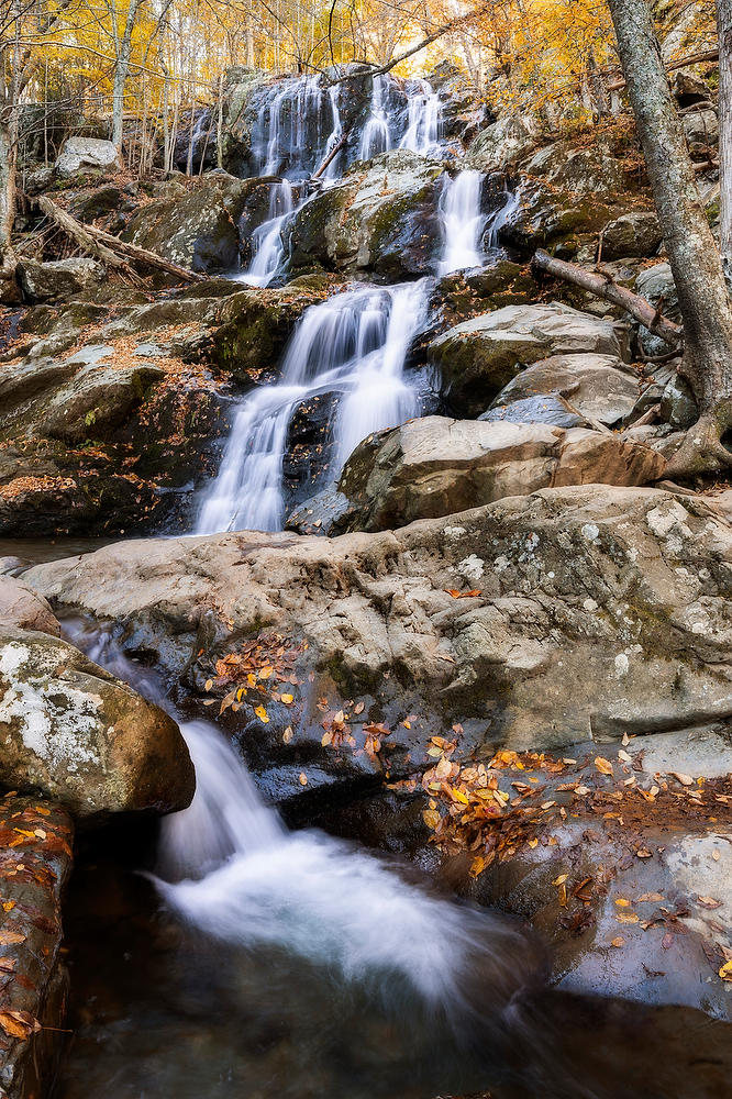 Dark Hollow Falls
102024-176 : Shenandoah : Will Dickey Florida Fine Art Nature and Wildlife Photography - Images of Florida's First Coast - Nature and Landscape Photographs of Jacksonville, St. Augustine, Florida nature preserves