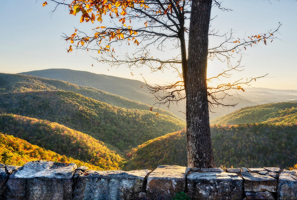 Ivy Creek Overlook 
102024-143 : Shenandoah : Will Dickey Florida Fine Art Nature and Wildlife Photography - Images of Florida's First Coast - Nature and Landscape Photographs of Jacksonville, St. Augustine, Florida nature preserves