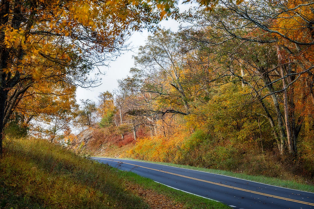 Skyline Drive 
102024-12 : Shenandoah : Will Dickey Florida Fine Art Nature and Wildlife Photography - Images of Florida's First Coast - Nature and Landscape Photographs of Jacksonville, St. Augustine, Florida nature preserves