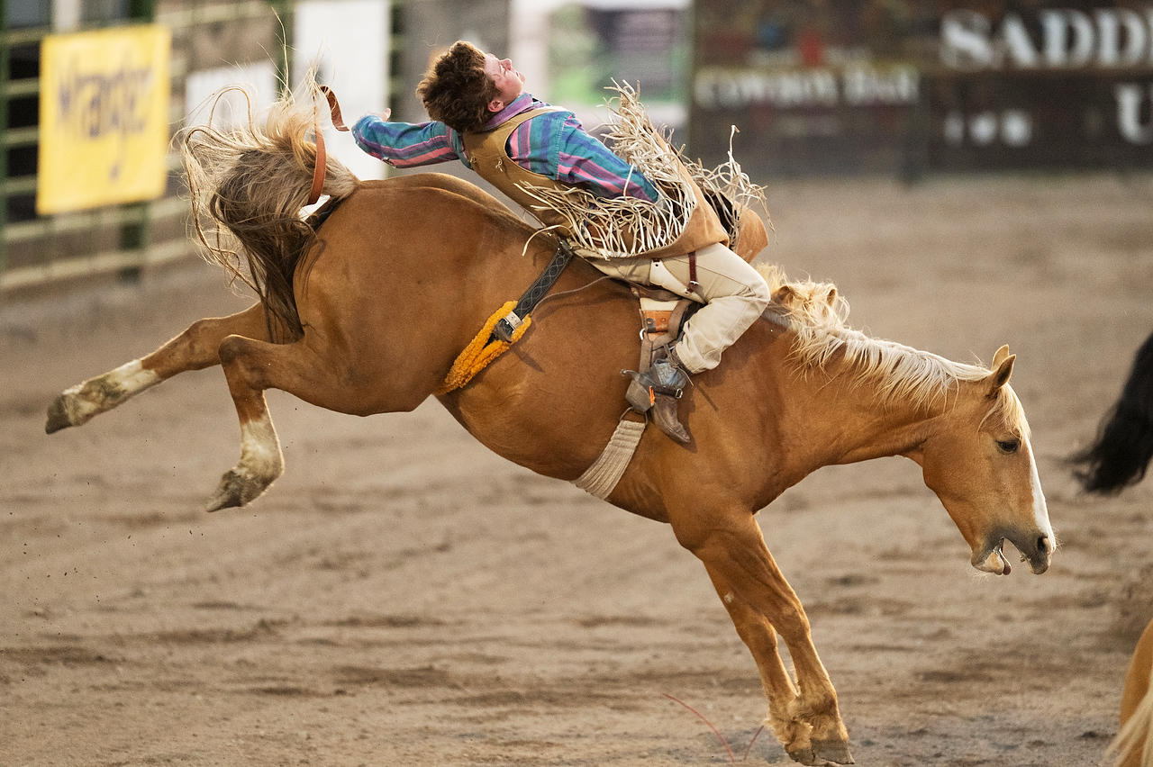 Bareback Bronc Rider 052425-1387 : Wyoming : Will Dickey Florida Fine Art Nature and Wildlife Photography - Images of Florida's First Coast - Nature and Landscape Photographs of Jacksonville, St. Augustine, Florida nature preserves